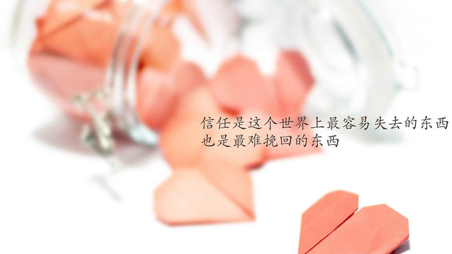 传统武术大奖赛，文化底蕴展现运动精神，传统武术比赛项目