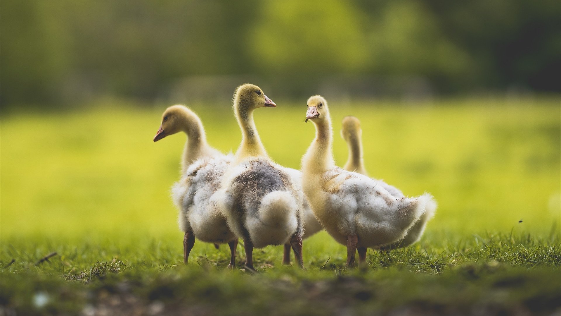 中超球队海外拉练行程安排正式公布,2021中超联赛外援政策