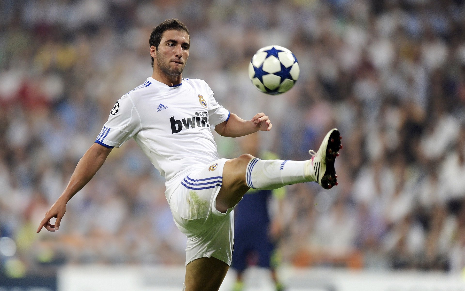 开云网页-法国新星崭露头角，成为未来的中坚力量